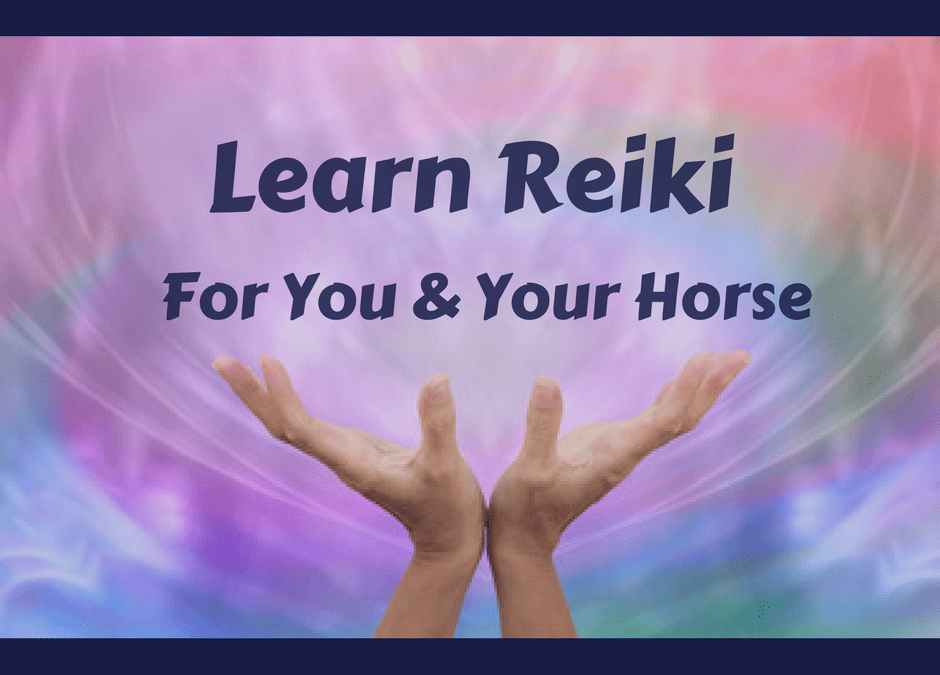 Reiki Class: You & Your Horse ~ The Details